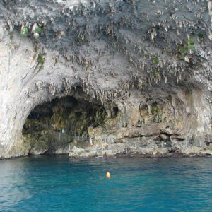 Grotta Zinzulusa A Castro Scopri Tutto Orari E Prezzi